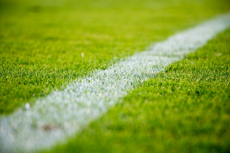 Artificial turf close-up